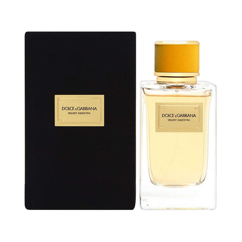 Dolce & Gabbana Velvet Ginestra Women's Eau De Parfum