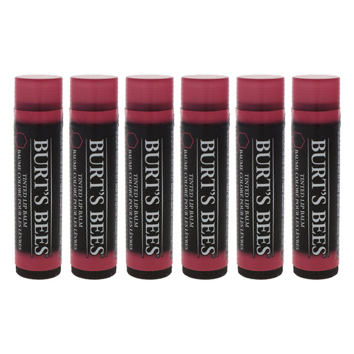 Burts Bees Tinted Lip Balm Hibiscus Pack Of 6