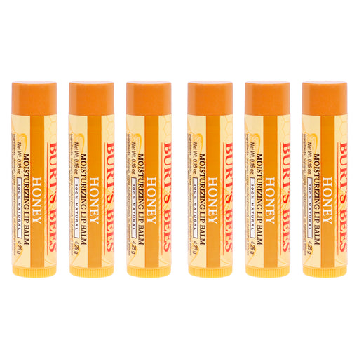 Burt's Bees Honey Moisturizing Lip Balm Blister Pack Of 6