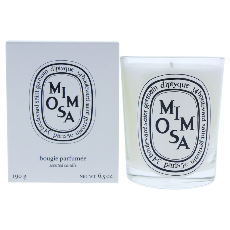 Diptyque Mimosa Scented Candle Unisex Fragrance