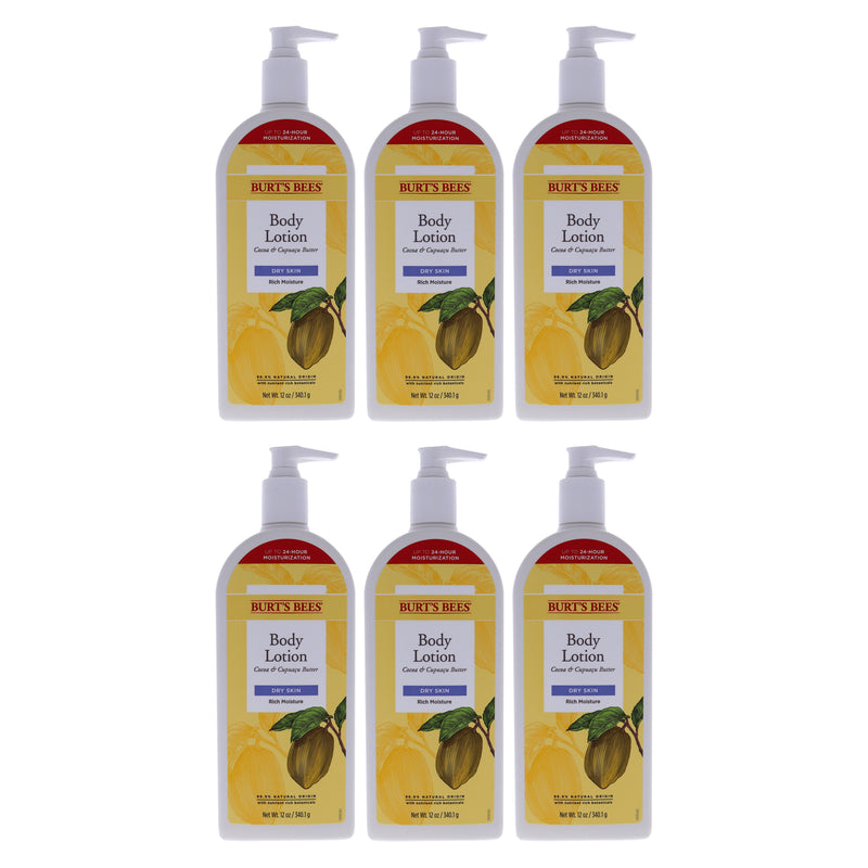 Burt's Bees Cocoa And Cupuacu Butters Body Lotion Pack Of 6