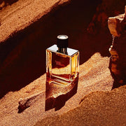 Hermes Terre D'Hermes Men's Parfum