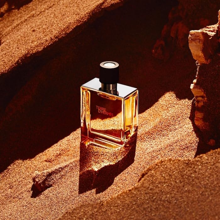 Hermes Terre D'Hermes Men's Parfum