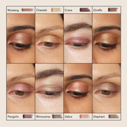 Chantecaille Luminescent Eye Shade Cheetah