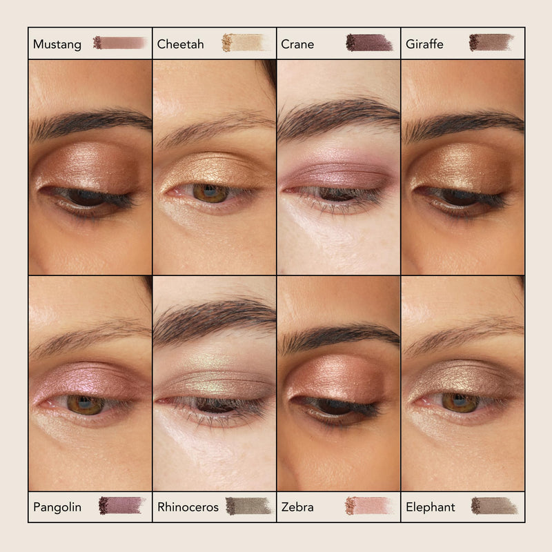 Chantecaille Luminescent Eye Shade Cheetah