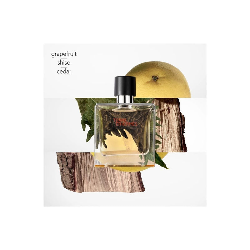 Hermes Terre D'Hermes Men's Parfum