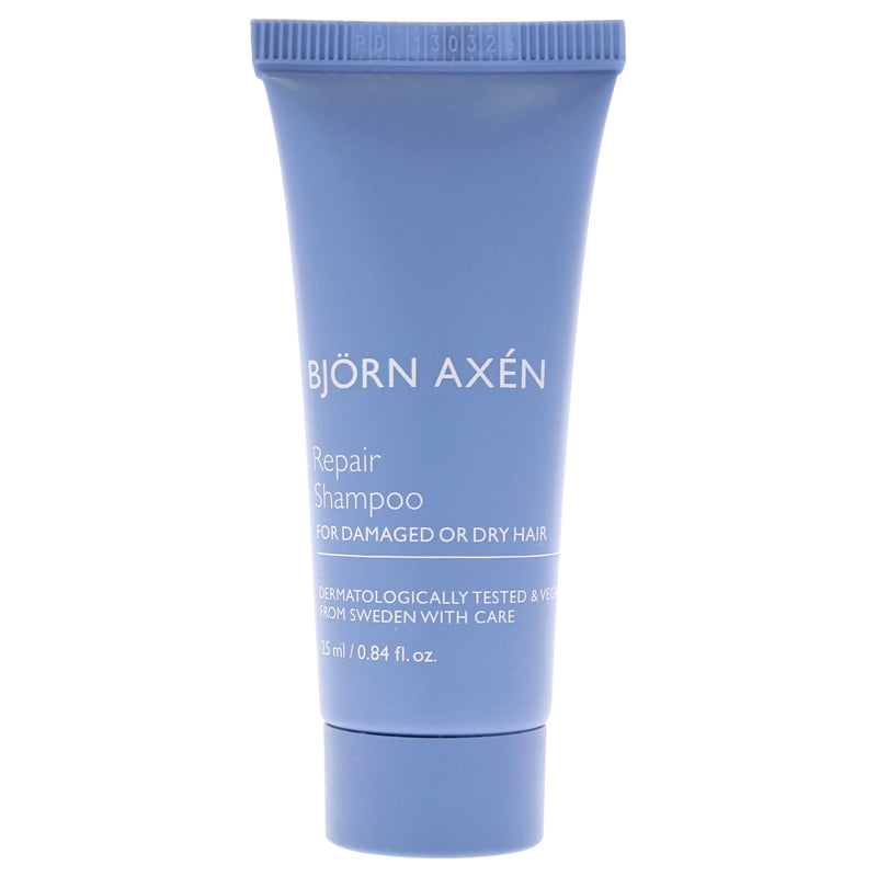 Bjorn Axen Repair Shampoo